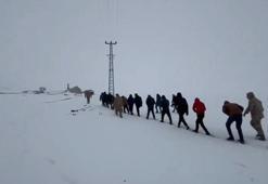 26 ilde göçmen kaçakçılığı operasyonu: 59 tutuklama