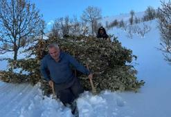 Bitlis'te besiciler, karda kızakla hayvanlarına ot taşıyor