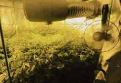 23 ilde uyuşturucu operasyonu: 177 tutuklama