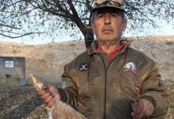 Kangal cinsi köpeği av tüfeğiyle vurarak öldürdüğü iddia edilen şüpheli tutuklandı