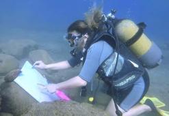 Emekli hemşire, 8 yıldır su altında resim yapıyor