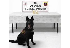 Van'da İran uyruklu yolcu, 510 gram eroin ile yakalandı