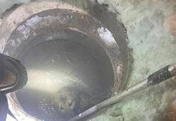 Muş’ta kuyuya düşen köpeği itfaiye kurtardı