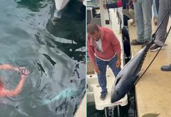 Soğuk havaya aldırış etmeden denize girip kıyıya vuran orkinosu çıkardı