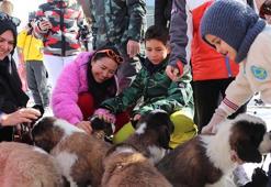'Pastırma' ve 'Sucuk' isimli köpekler, Erciyes'in maskotu oldu