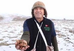 Kayseri’nin ‘Ağaç Dede’si 1 milyondan fazla fidanı toprakla buluşturdu