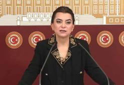 DEM Parti'li Koçyiğit: Barış yasaları ivedilikle çıkmalı