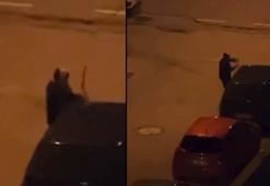 Alkollü olduğu iddia edilen kadın, araçların sileceklerini kırdı