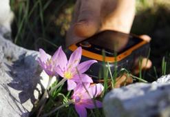 GPS verileri incelendi; orkidelerde kaçak söküm alarmı