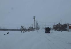 Japonya'da yoğun kar yağışı nedeniyle hayatını kaybedenlerin sayısı 30'a yükseldi