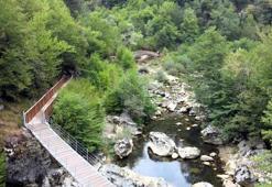 Yasa dışı avcılık yapan 4 kişiye idari yaptırım uygulandı