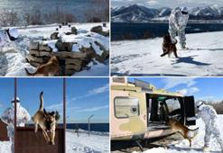 Mehmetçikten derin karda köpekli arama eğitimi