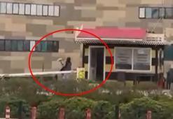 Taksiye binemediği için durağın camlarını kıran kadın serbest bırakıldı