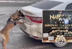 Otomobildeki uyuşturucuyu Hera buldu; 2 şüpheli tutuklandı