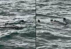 Çatalca açıklarında insansız hava aracı bulundu