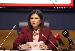 Yurtdışı Türkler ve Akraba Topluluklar Alt Komisyonu toplandı