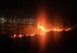 Hatay'da zeytin bahçesinde yangın