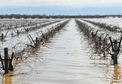 Nif Çayı taştı, Gediz Ovası su altında kaldı