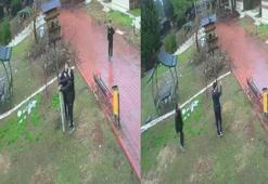 Dinozor Park’ta kuş yuvalarının parçalanmasına tepki