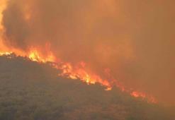 Karşıyaka- Yamanlar yangını sonrası 'rant' iddialarına ilişkin Orman Bölge Müdürlüğü'nden açıklama