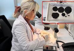 Hz. İsa tasvirli 1300 yıllık ekmeklerin konservasyonu, 2 yılda tamamlandı