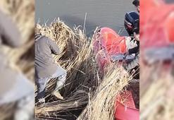 Sinop'ta yasa dışı avcılık operasyonu; 5 güme imha edildi