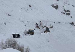 Yüksekova'da çığ nedeniyle kapanan mezra yolu, 2 ay sonra açıldı