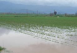 'Yağışları muhafaza edemezsek, kuraklık yaşamaya devam ederiz'