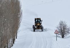 Van'da 106 yerleşim yeri ulaşıma kapandı; Bahçesaray'da kar kalınlığı 1 metreyi aştı