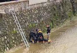Dere yatağına düştü, duran kalbi yeniden çalıştırıldı