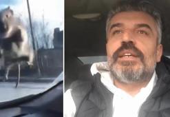 Başakşehir'de yolda ilerleyen araca fare atladı; sürücü polis çevirmesine girince kaçtı