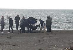 Muğla’da sahilde erkek cesedi bulundu