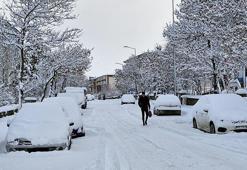 Erzurum'da kar yağışı; 775 mahalle yolu kapandı