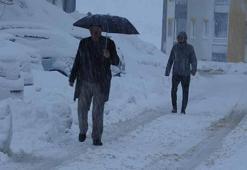 Bitlis'in yükseklerinde kar kalınlığı 30 santimetreye ulaştı; 165 yerleşim yeri ulaşıma kapandı
