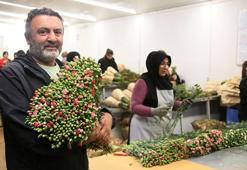 Antalya'dan 'Sevgililer Günü' için Avrupa'ya 75 milyon dal çiçek