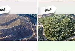 Maden sahası rehabilitasyonla yeşerdi