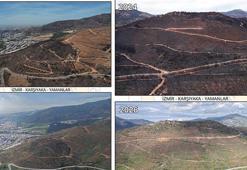 Orman yangını ile zarar gören Yamanlar, yeniden yeşile bürünüyor