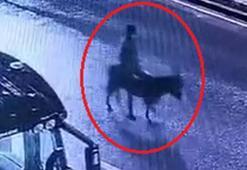 Forkliftle kuyumcu soyup eşekle kaçan şüpheli yakalandı; o anlar kamerada