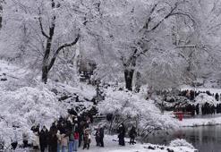 New York’ta soğuk hava nedeniyle 18 kişi hayatını kaybetti