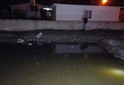 Hatay'da su dolu inşaat temeline düşen 2 kardeş öldü