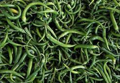 Batı Akdeniz'de ocak ayında yaş meyve sebzede ihracat şampiyonu, 'biber'