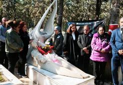 Özgecan Aslan, mezarı başında anıldı