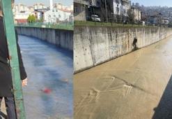 Samsun’da derede erkek cesedi bulundu