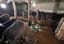 Yüksekova’da sağanak; ahırları su bastı