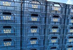 Fenerbahçeli taraftar domates kasalarının üzerine 'N'Golo Kante' yazdırdı