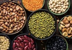 ‘Bitkisel protein kaynakları bağırsak sağlığı ve metabolik dengeyi destekliyor’