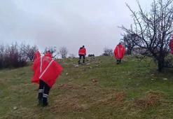 Diyarbakır'da kaybolan zihinsel engelli için arama çalışması başlatıldı