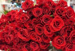 Sevgililer için gül 200, orkide 2 bin liradan başlıyor
