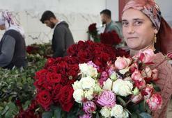 Eşi ile sevgililere rengarenk güller yetiştirdi