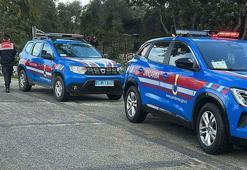 Bodrum’da 2 köpeğin öldürülmesi olayında savcılık itirazı sonrası tutuklama talebi